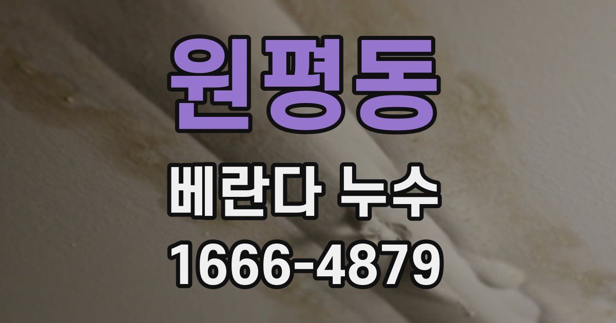 원평동 베란다 누수