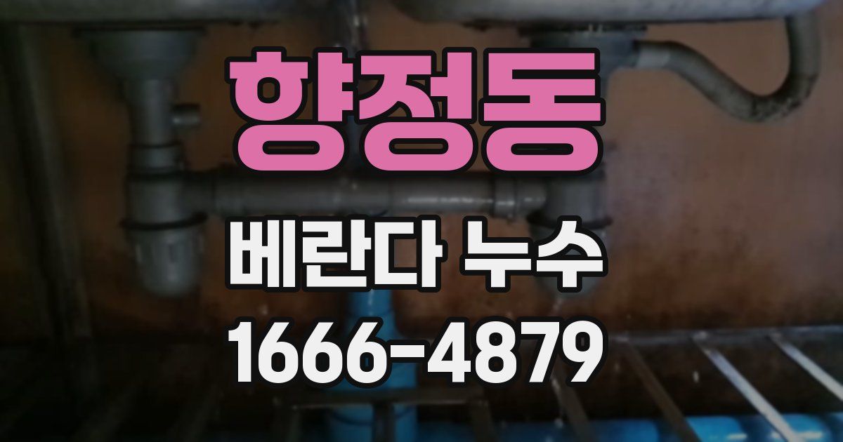 향정동 베란다 누수