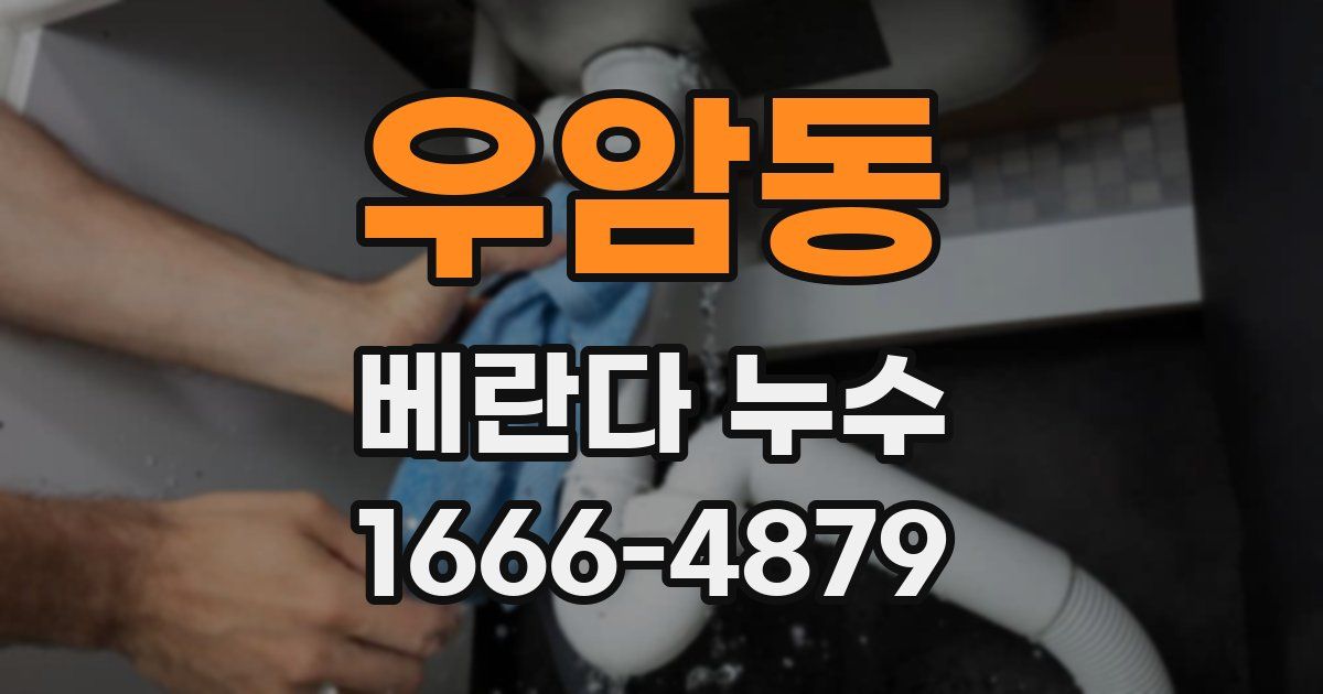 우암동 베란다 누수