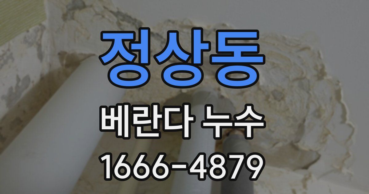 정상동 베란다 누수