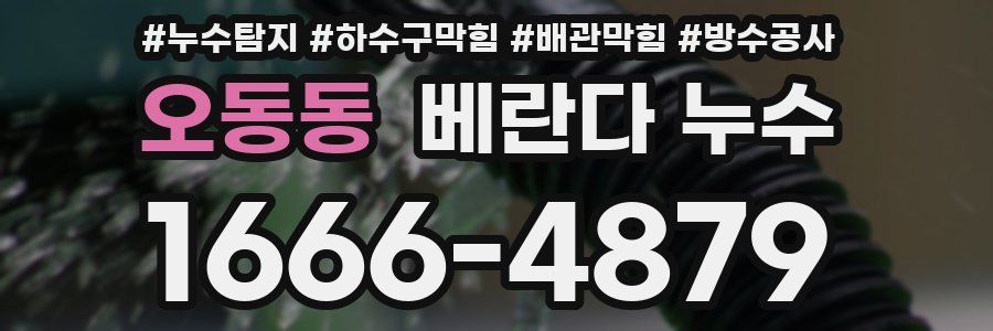 오동동 베란다 누수