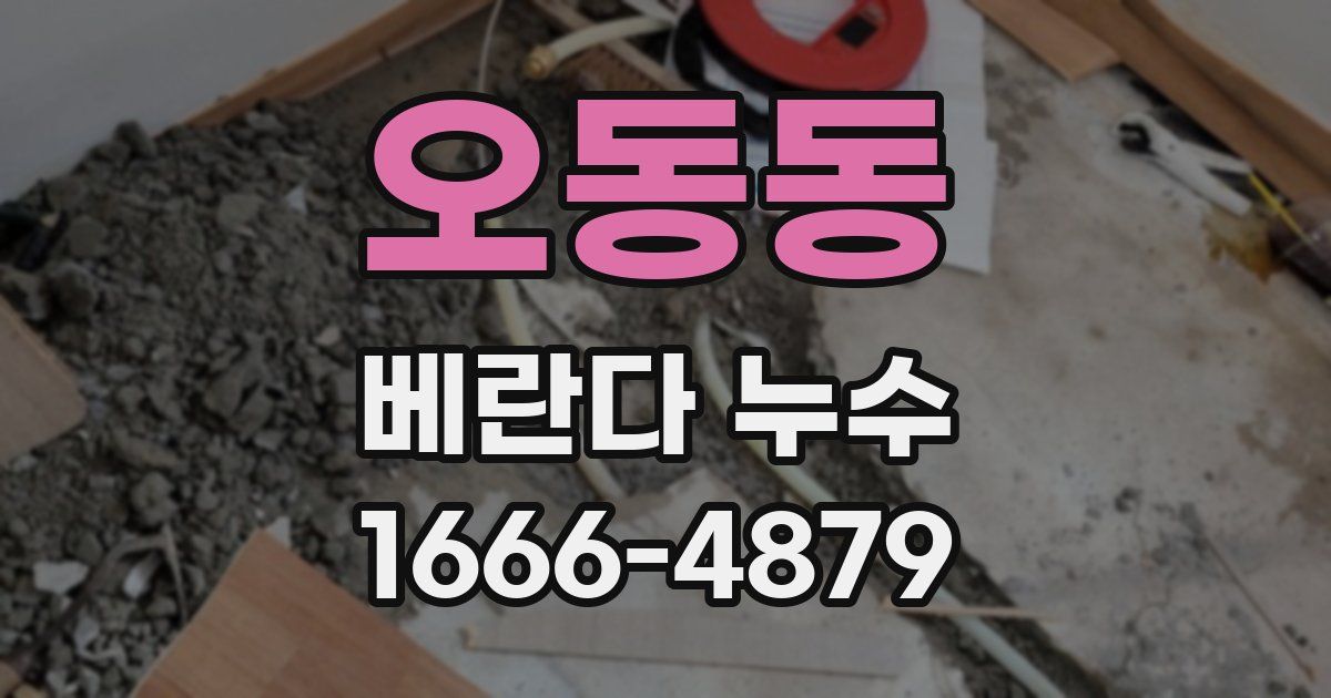 오동동 베란다 누수