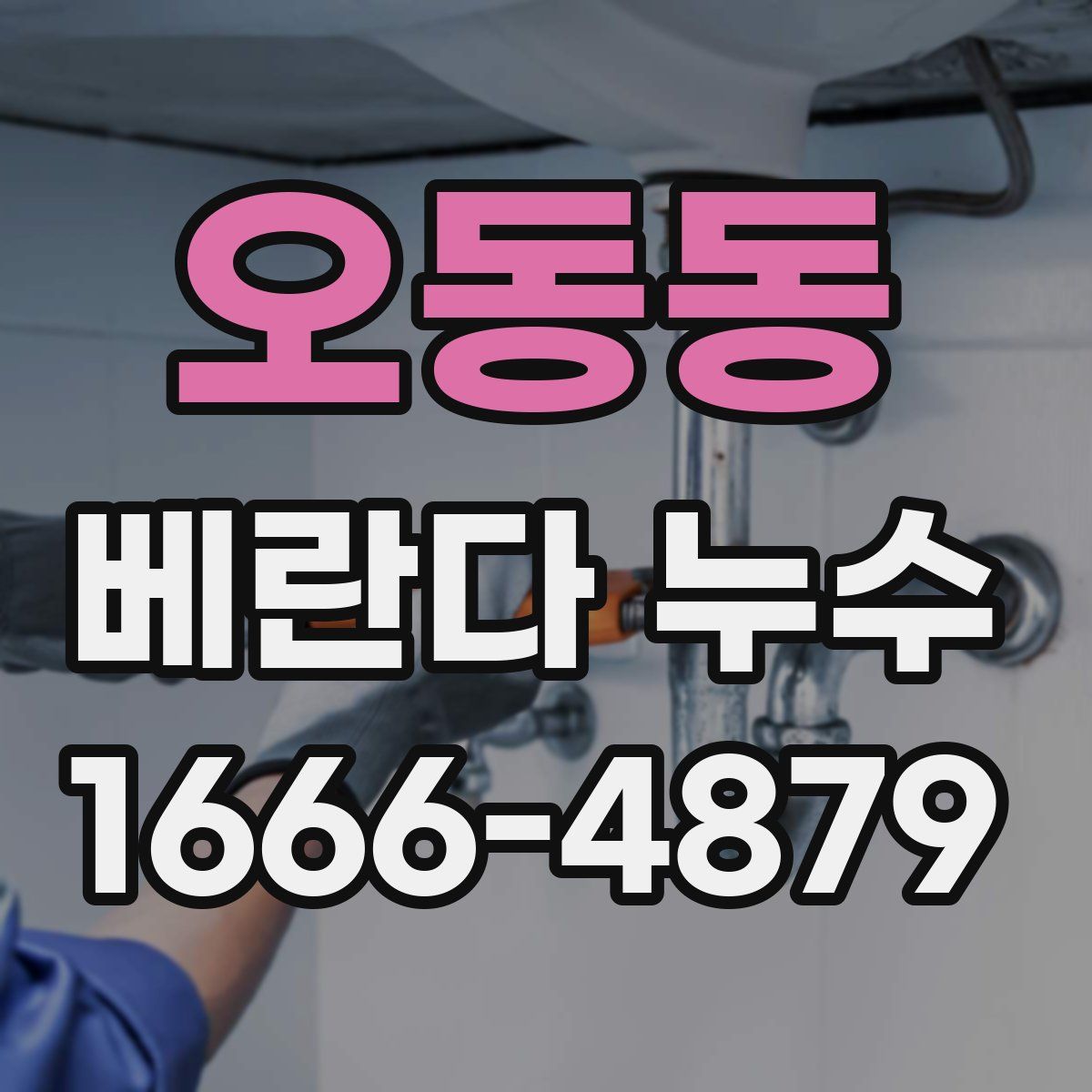 오동동 베란다 누수