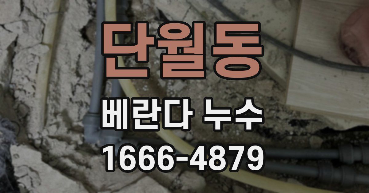 단월동 베란다 누수