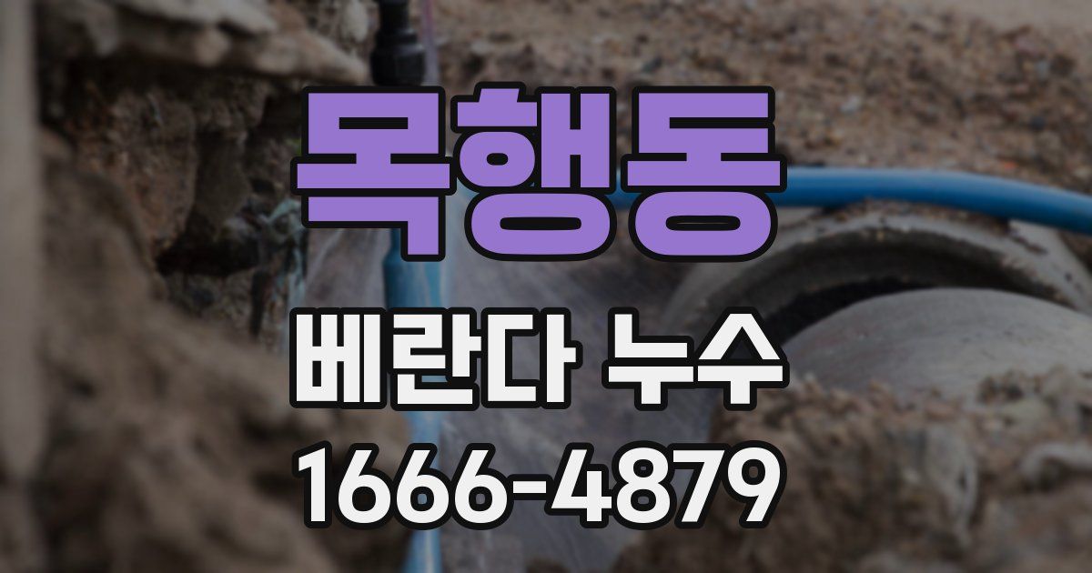 목행동 베란다 누수