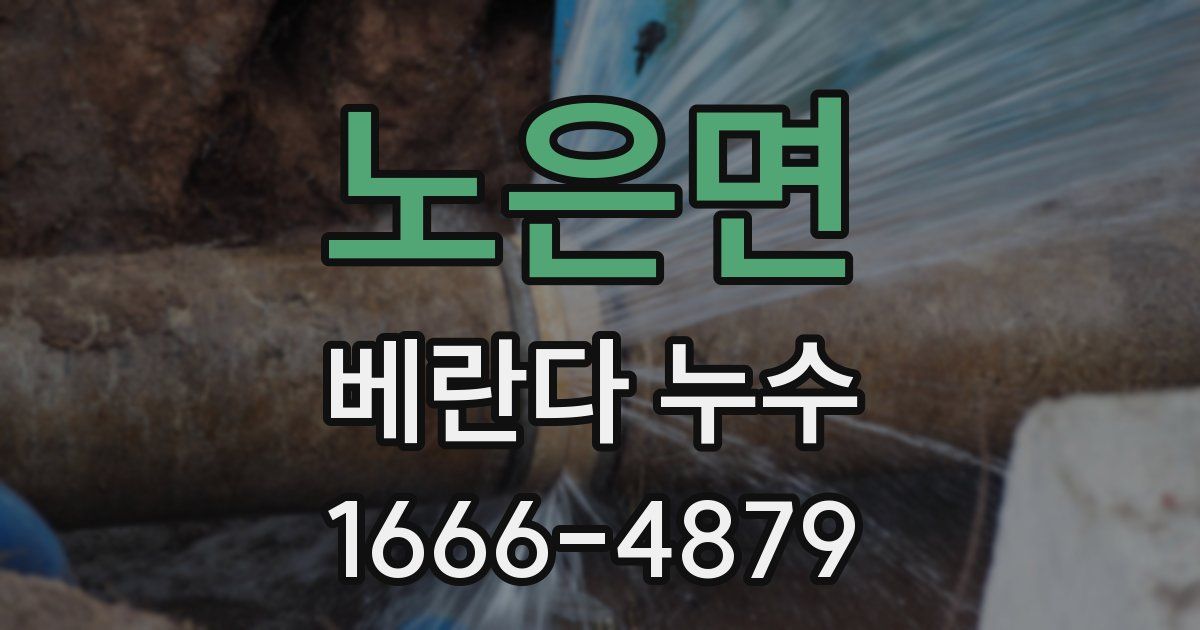 노은면 베란다 누수
