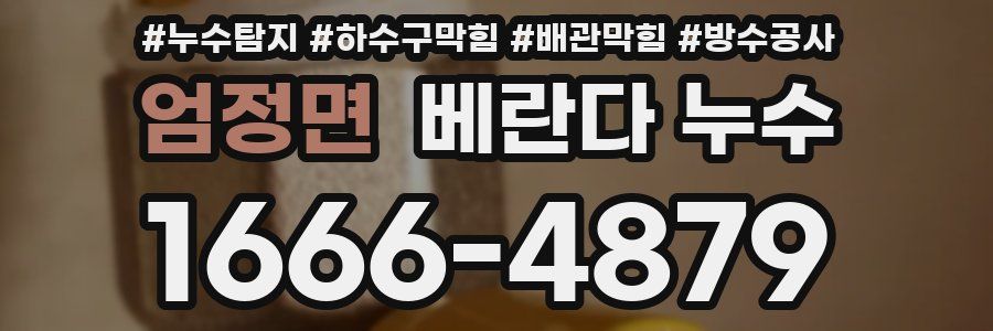 엄정면 베란다 누수