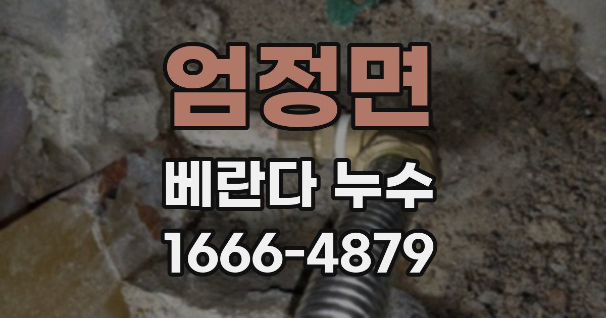 엄정면 베란다 누수