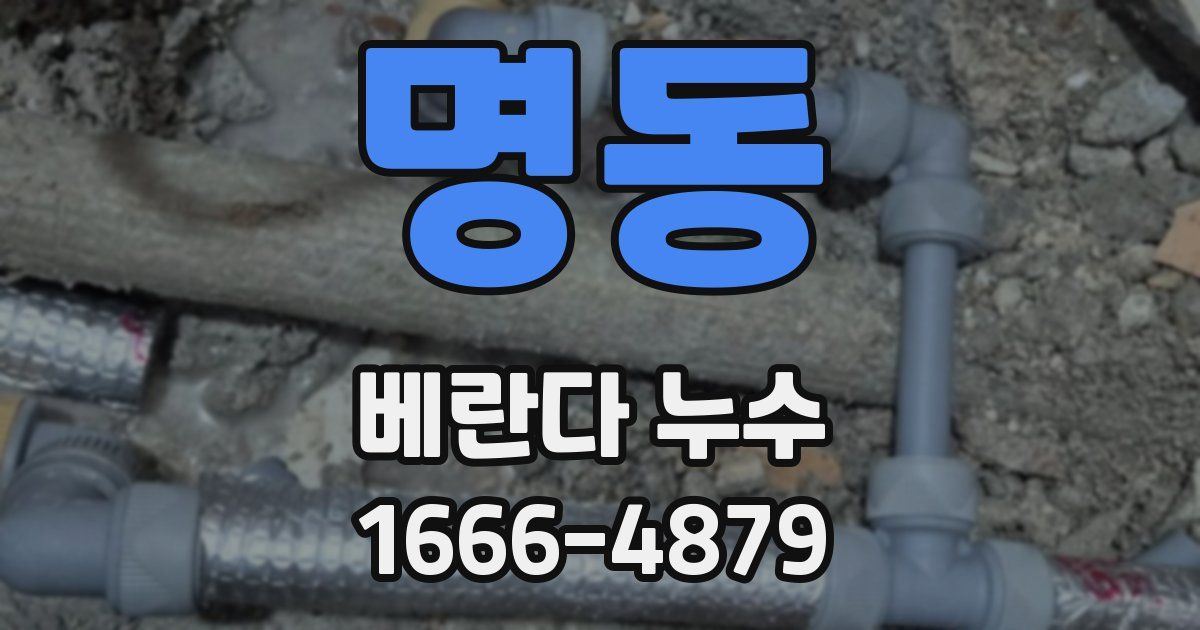 명동 베란다 누수