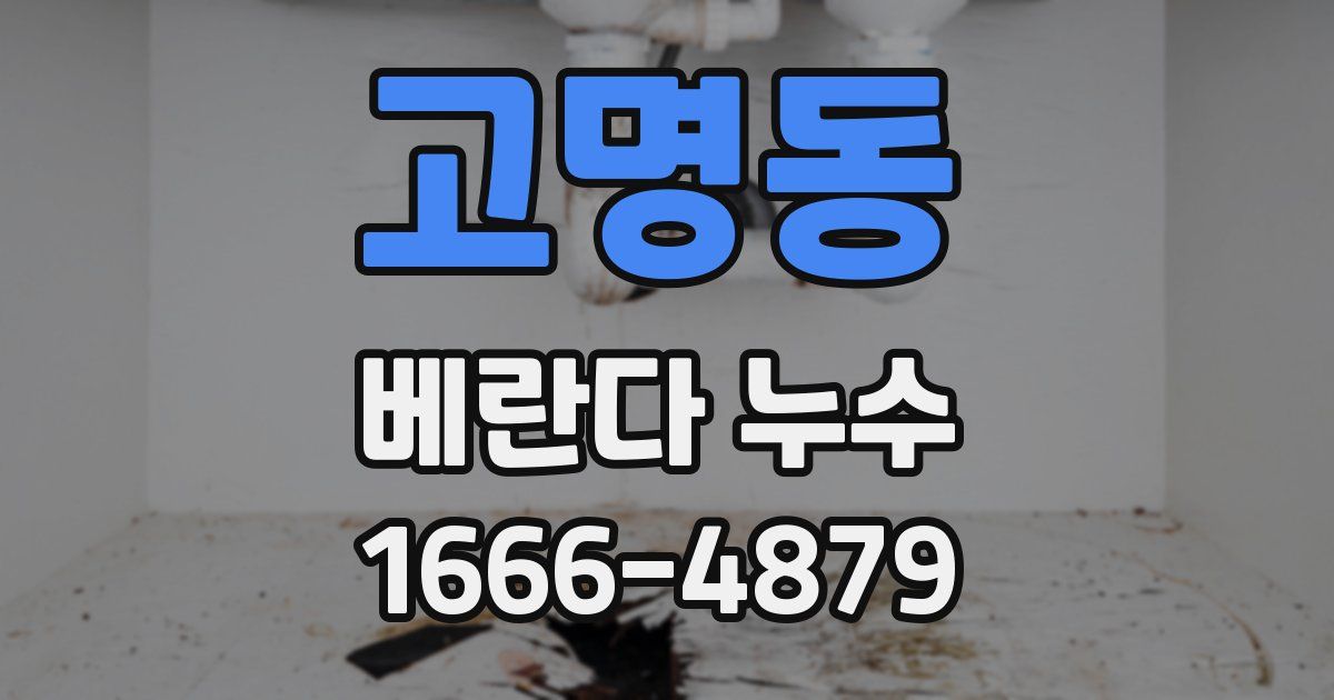고명동 베란다 누수