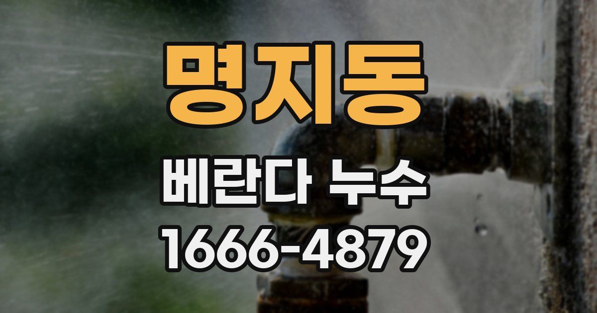 명지동 베란다 누수