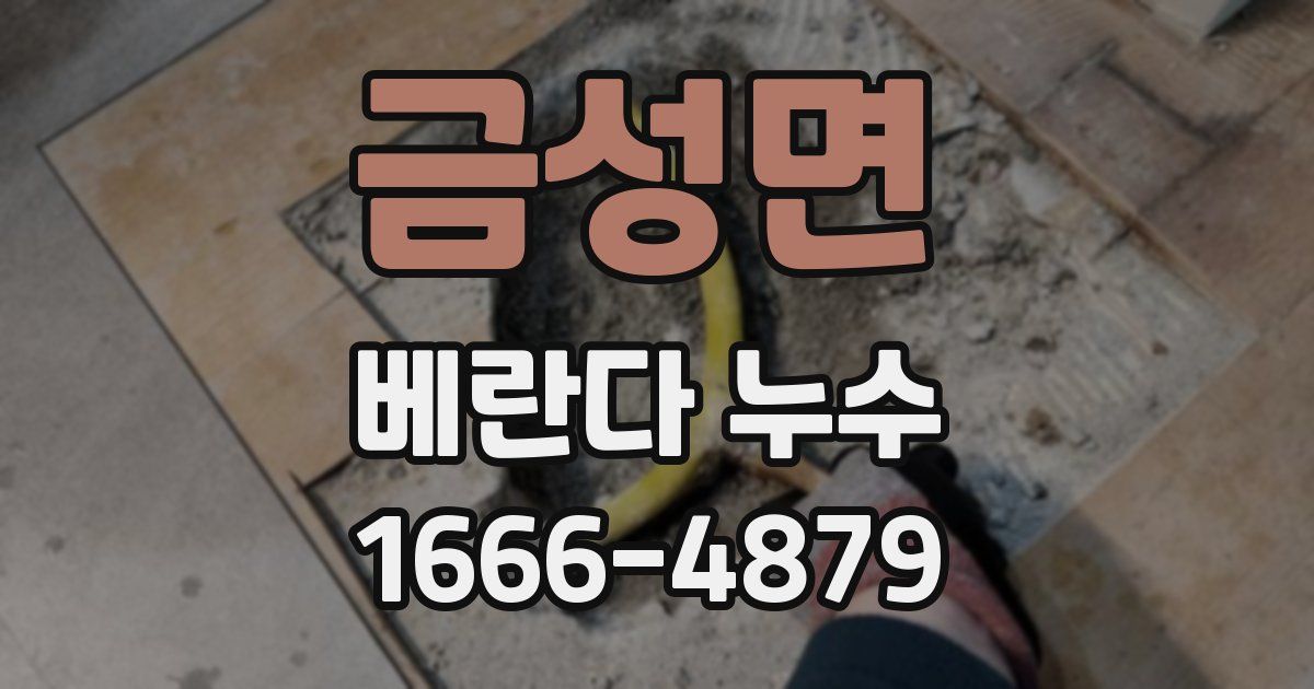 금성면 베란다 누수