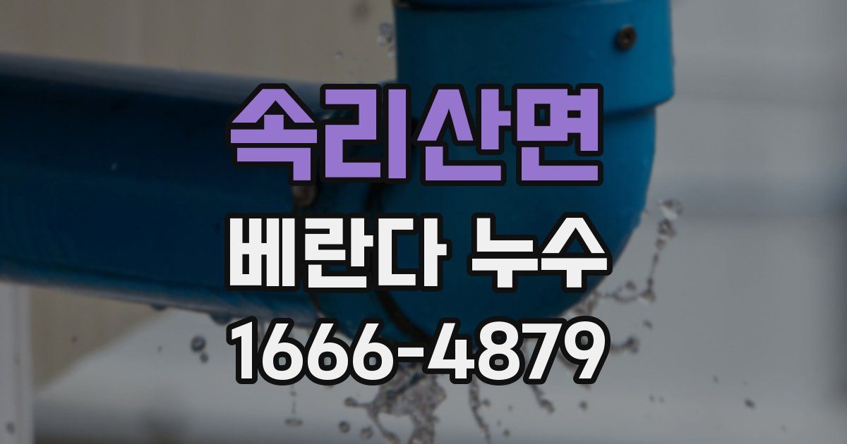 속리산면 베란다 누수