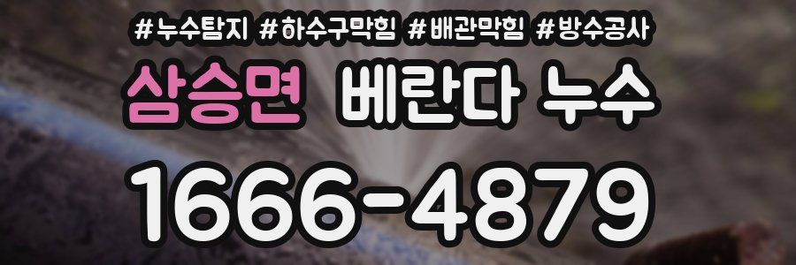 삼승면 베란다 누수
