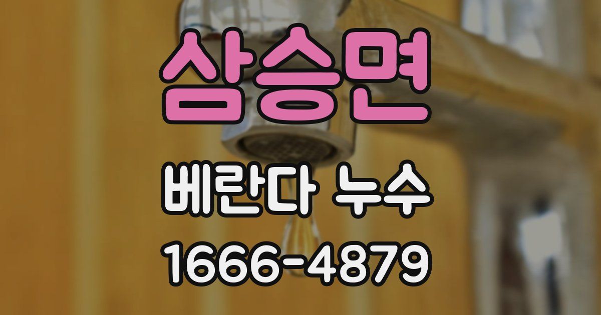삼승면 베란다 누수