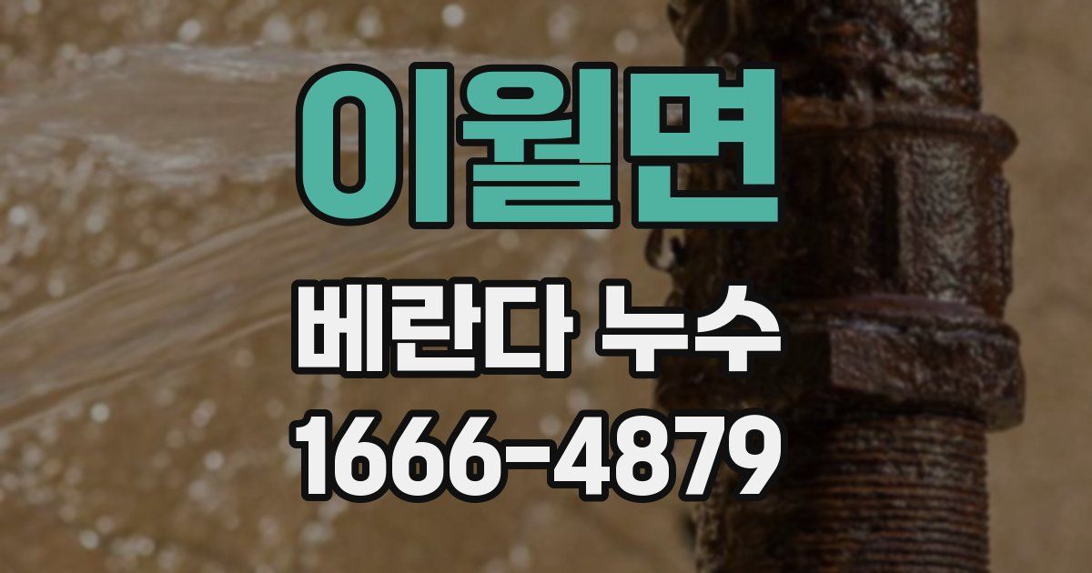 이월면 베란다 누수