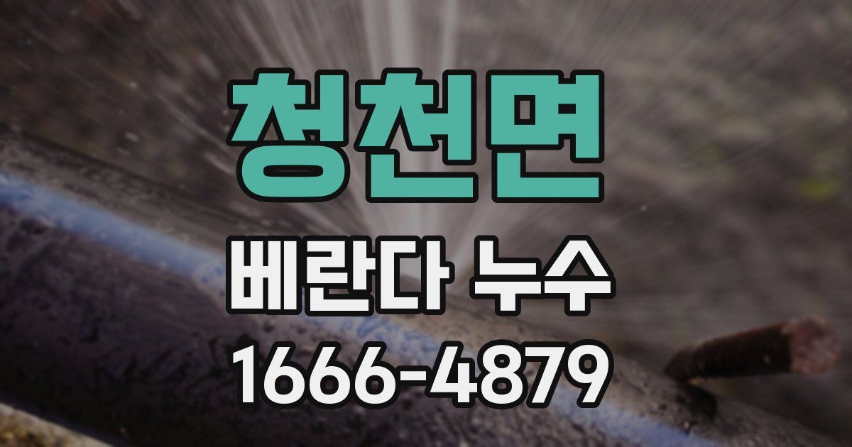 청천면 베란다 누수