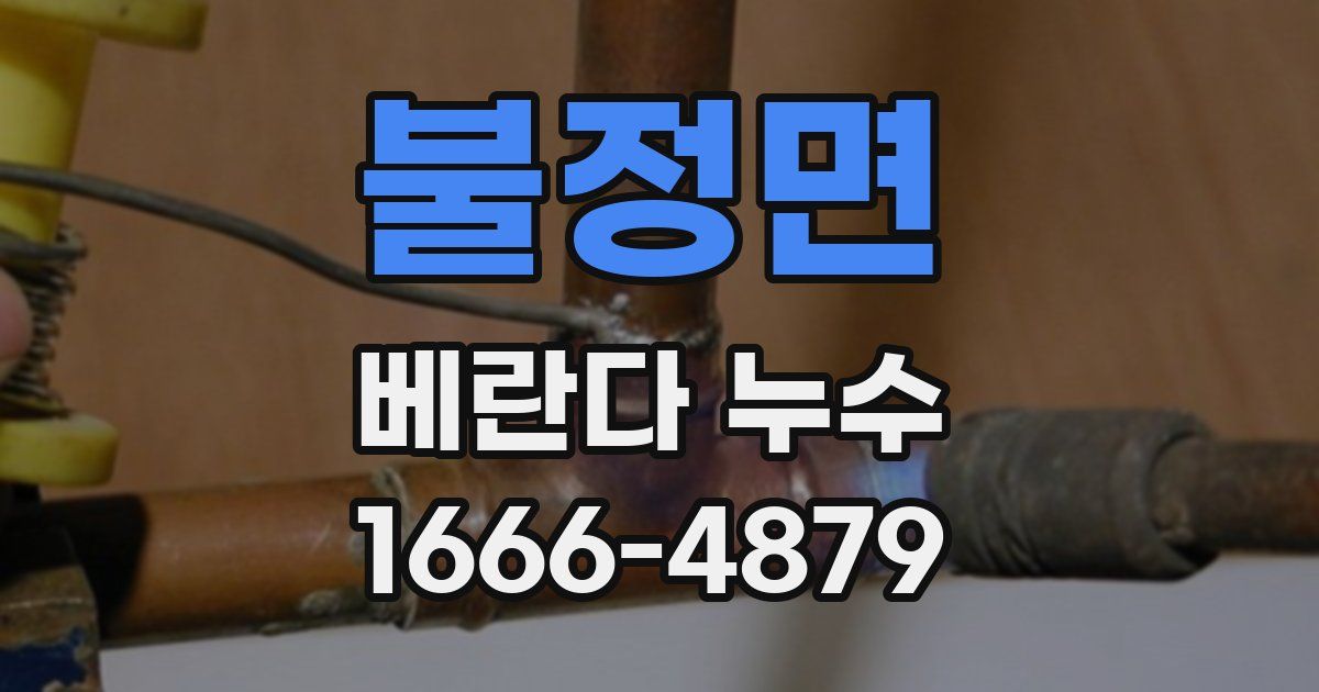 불정면 베란다 누수