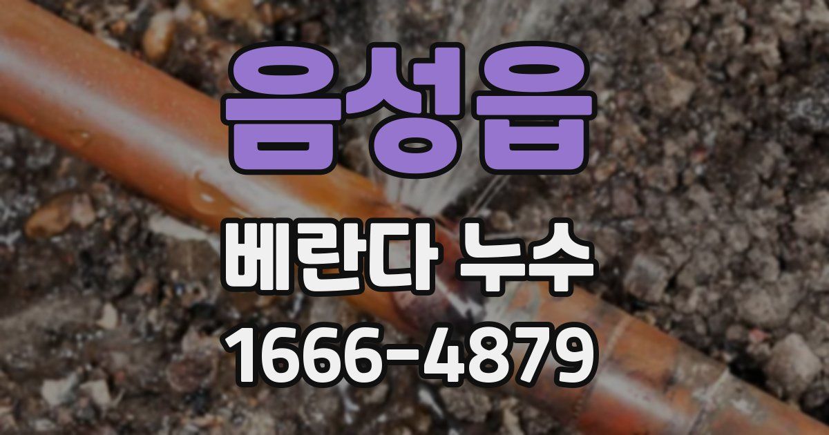 음성읍 베란다 누수