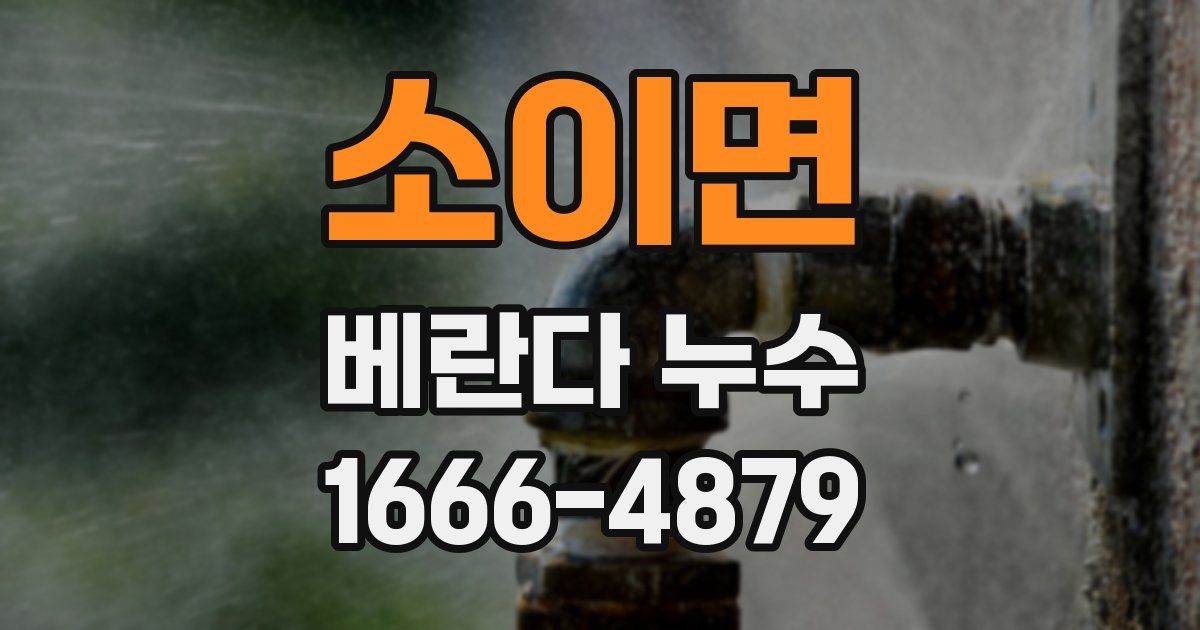 소이면 베란다 누수