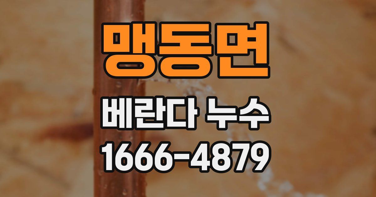맹동면 베란다 누수