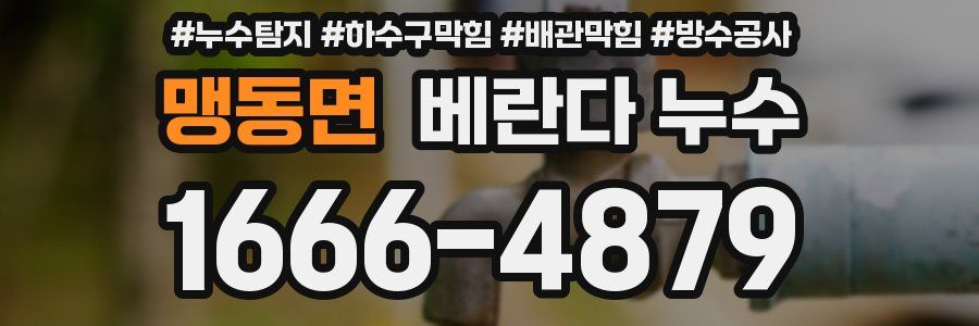 맹동면 베란다 누수