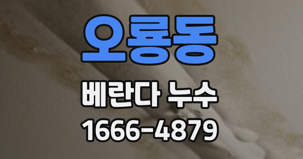 오룡동 베란다 누수