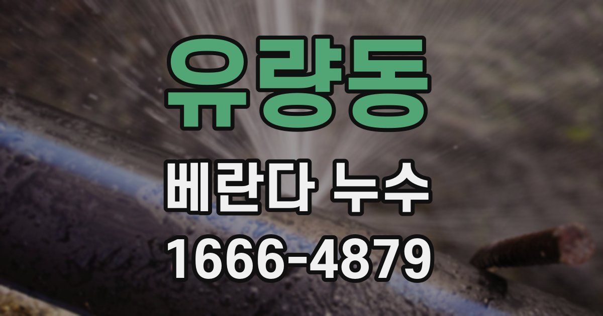 유량동 베란다 누수