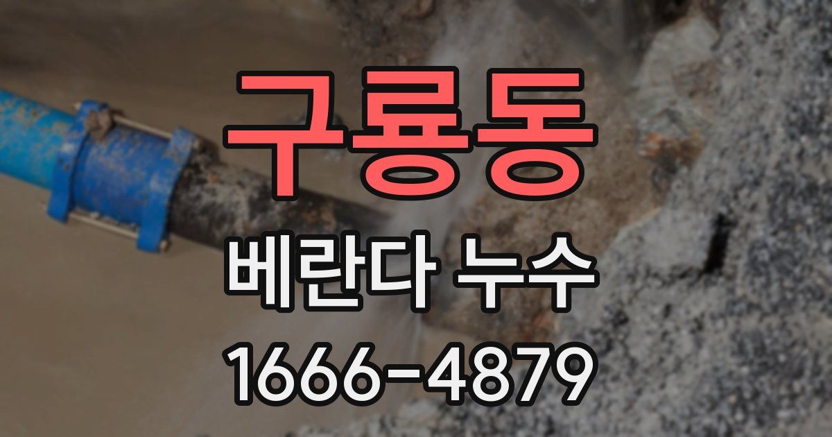 구룡동 베란다 누수