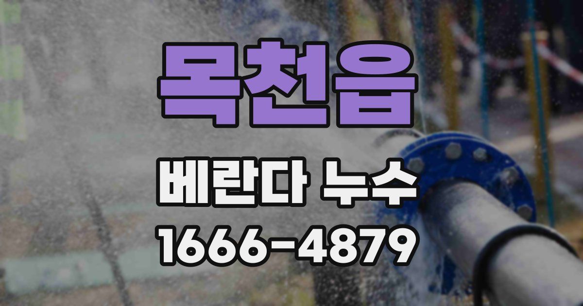목천읍 베란다 누수