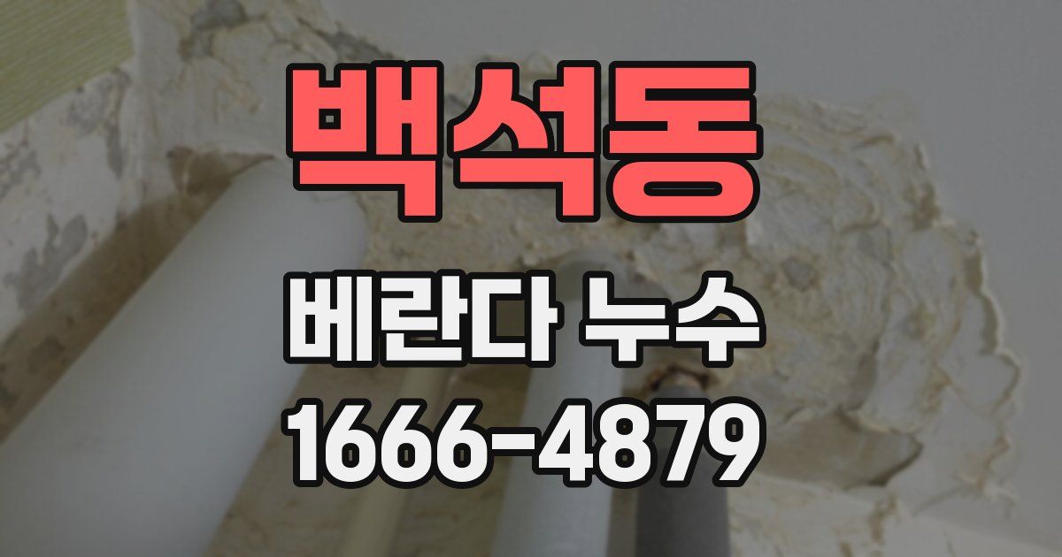 백석동 베란다 누수