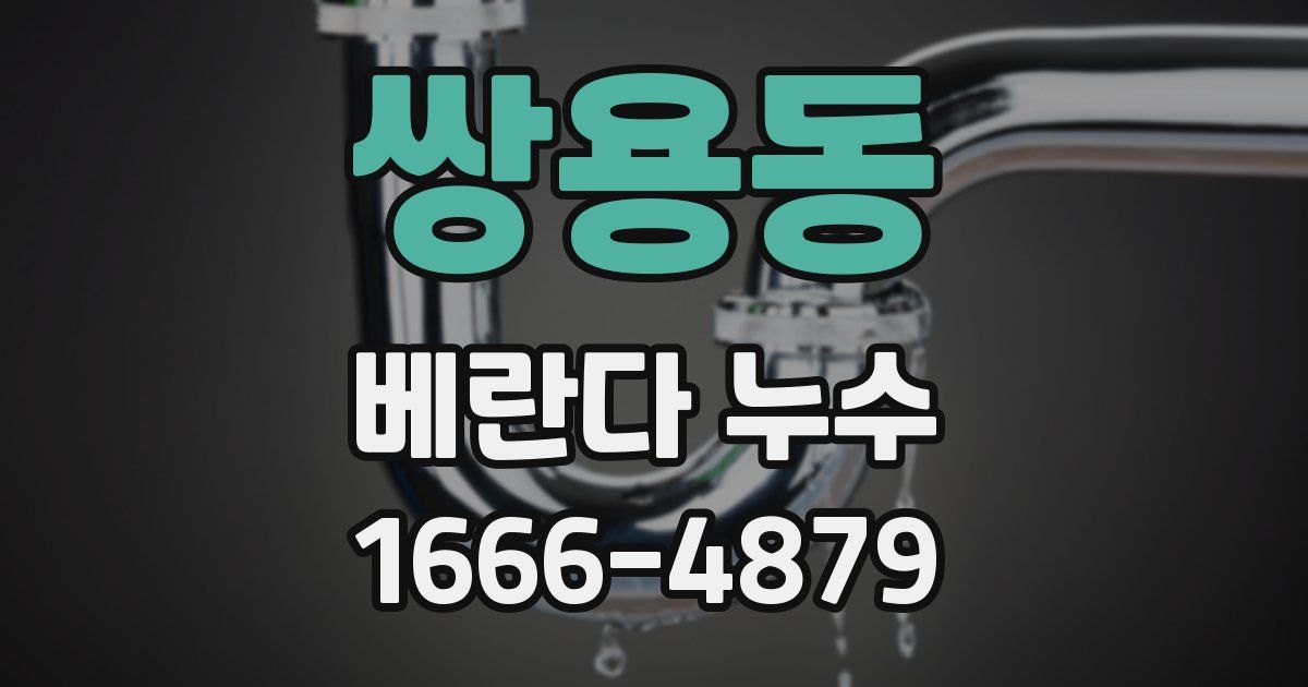 쌍용동 베란다 누수