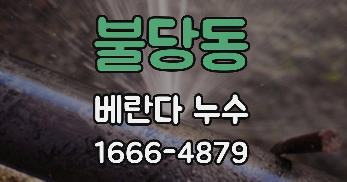 불당동 베란다 누수