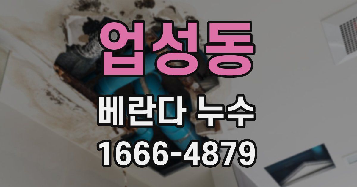 업성동 베란다 누수