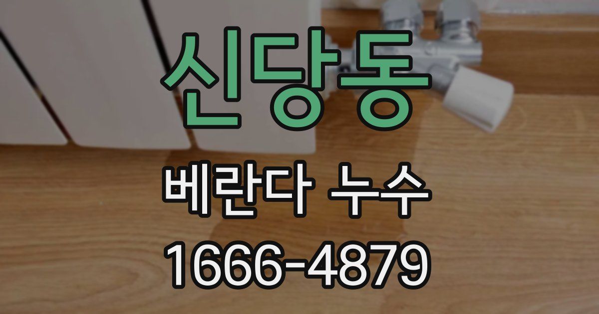 신당동 베란다 누수