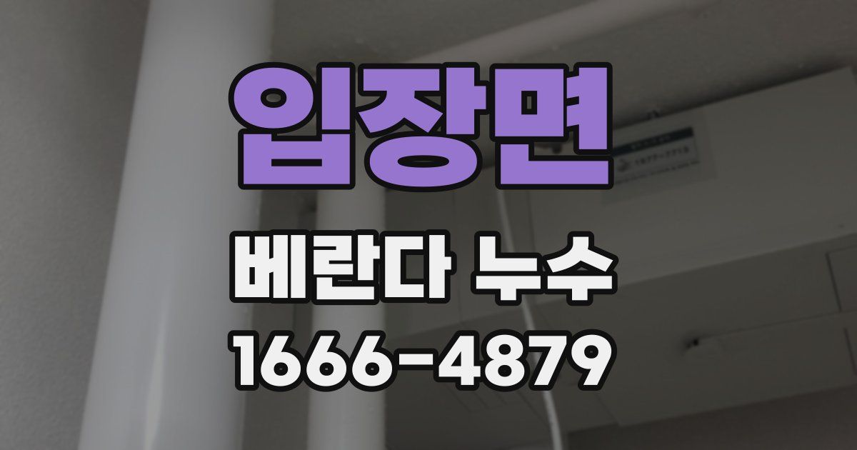 입장면 베란다 누수