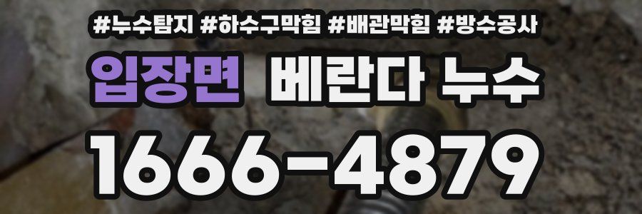 입장면 베란다 누수