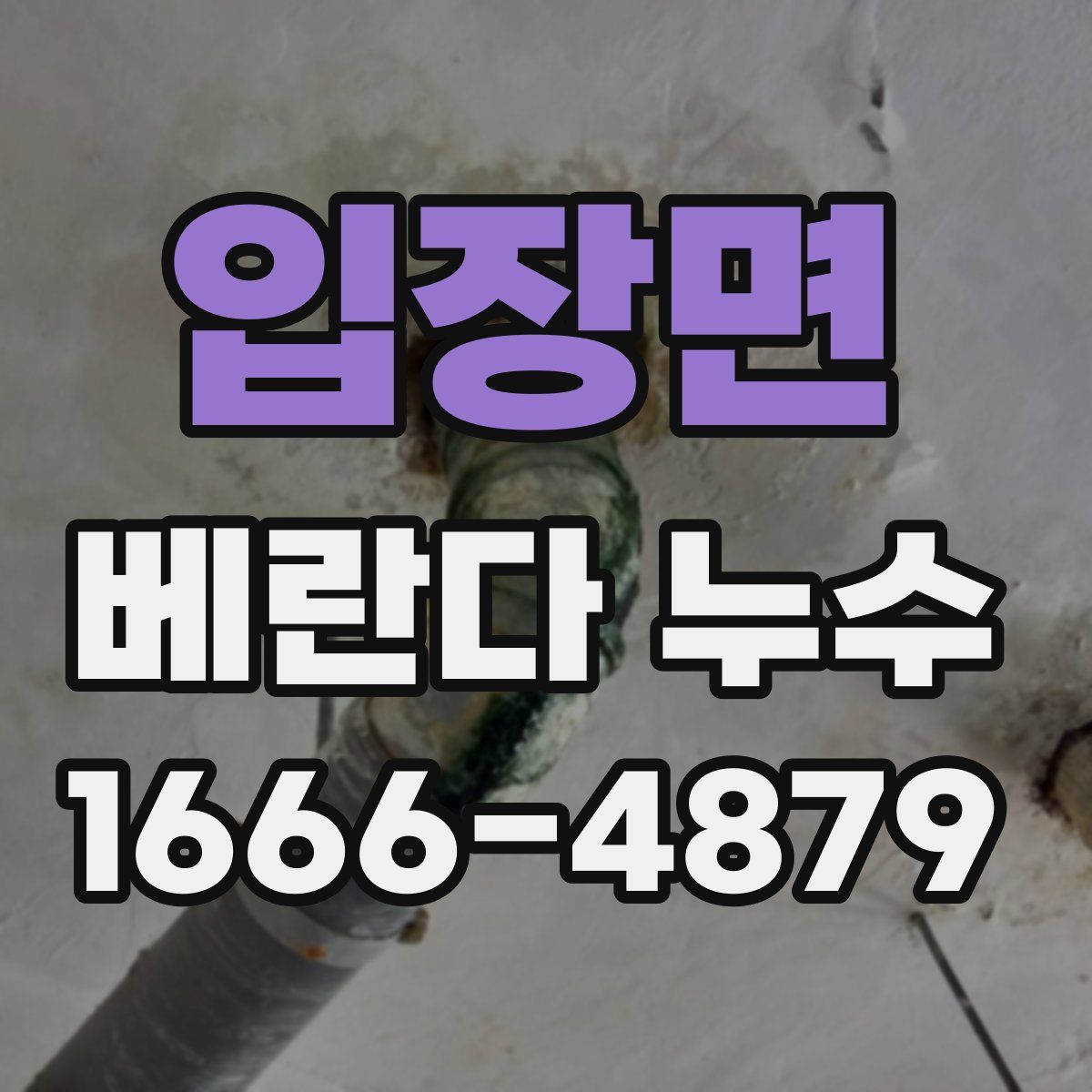 입장면 베란다 누수