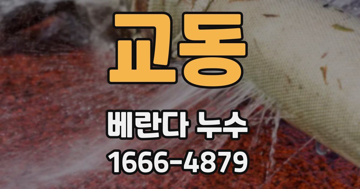 교동 베란다 누수