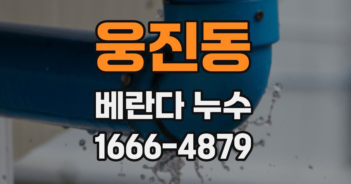 웅진동 베란다 누수
