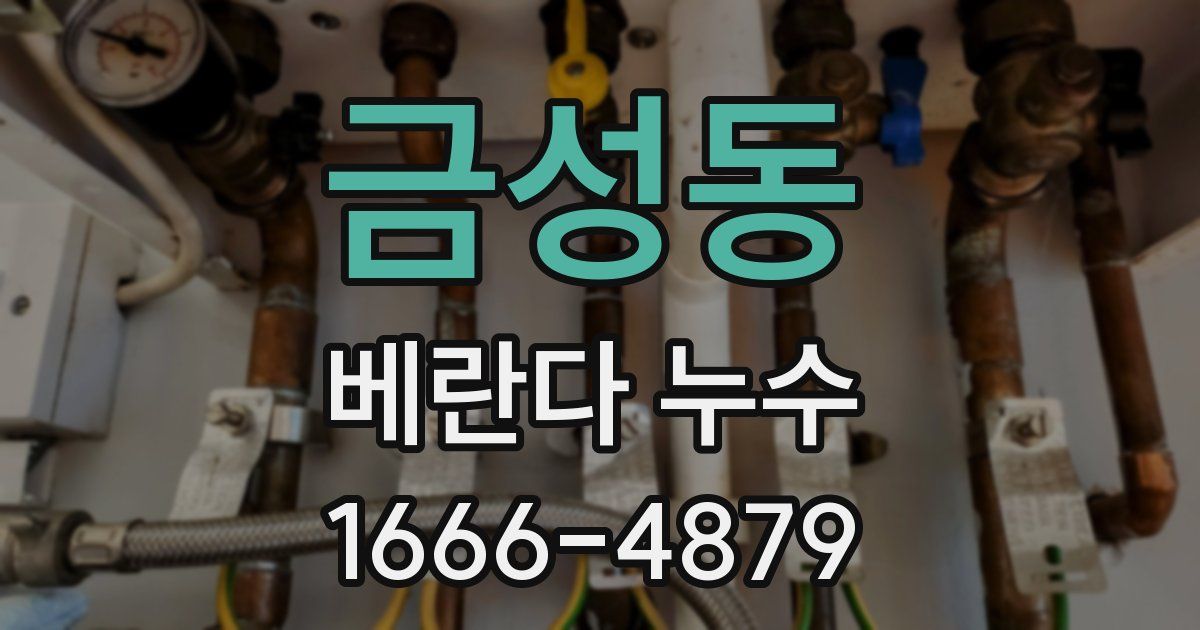 금성동 베란다 누수