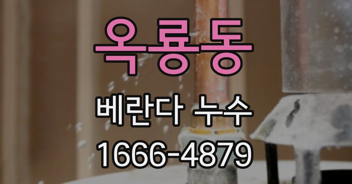 옥룡동 베란다 누수