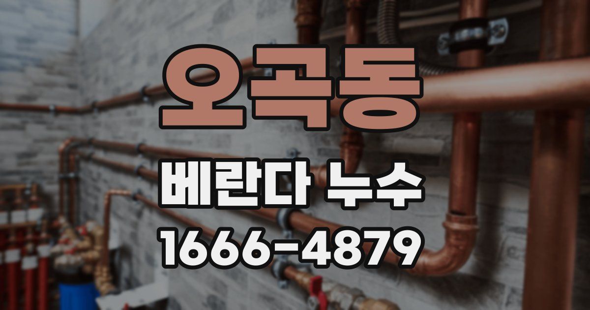 오곡동 베란다 누수