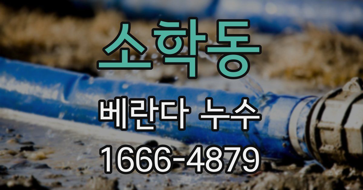 소학동 베란다 누수