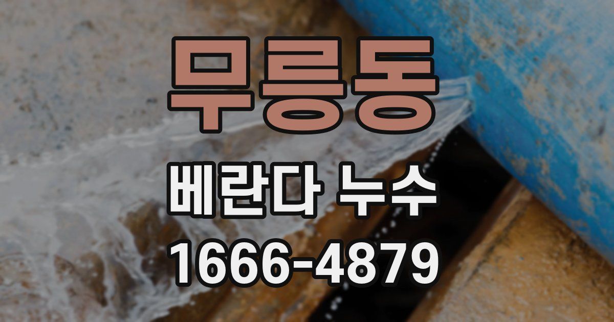 무릉동 베란다 누수