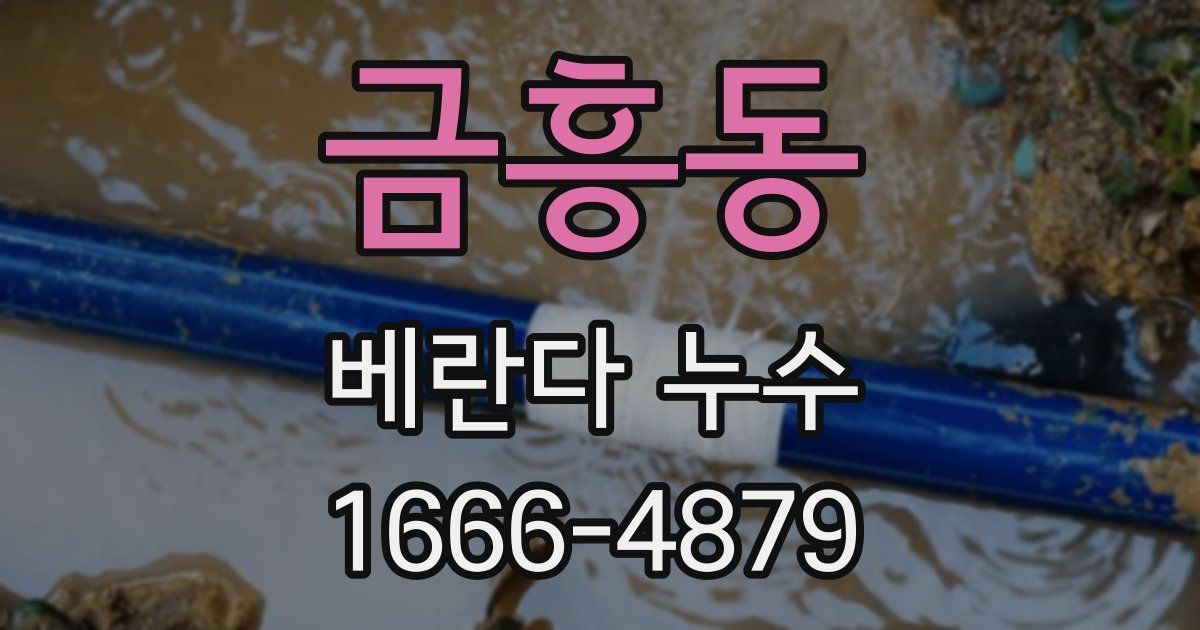 금흥동 베란다 누수