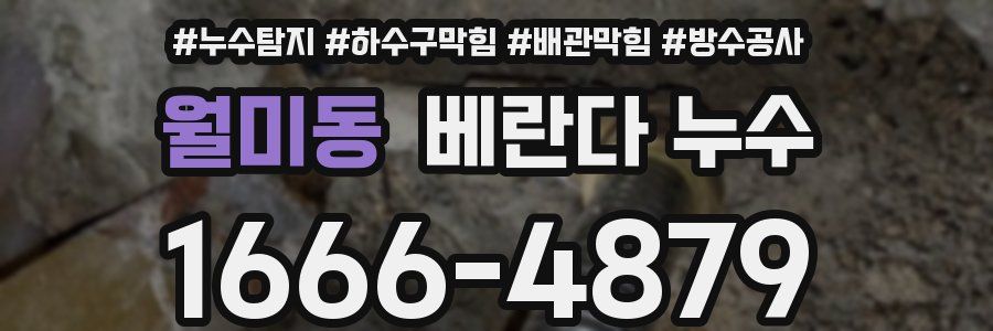 월미동 베란다 누수