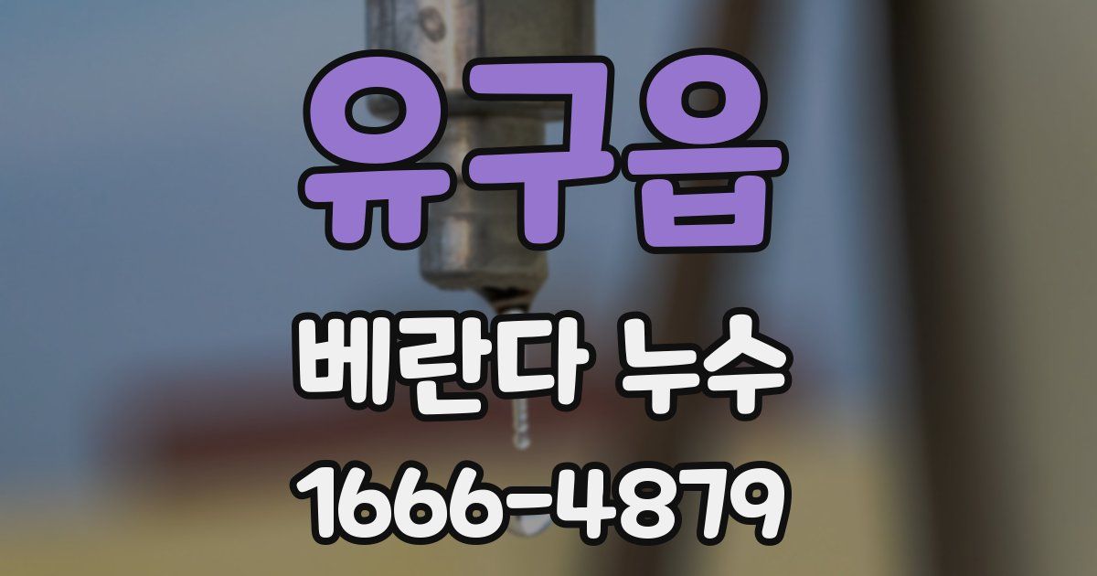 유구읍 베란다 누수