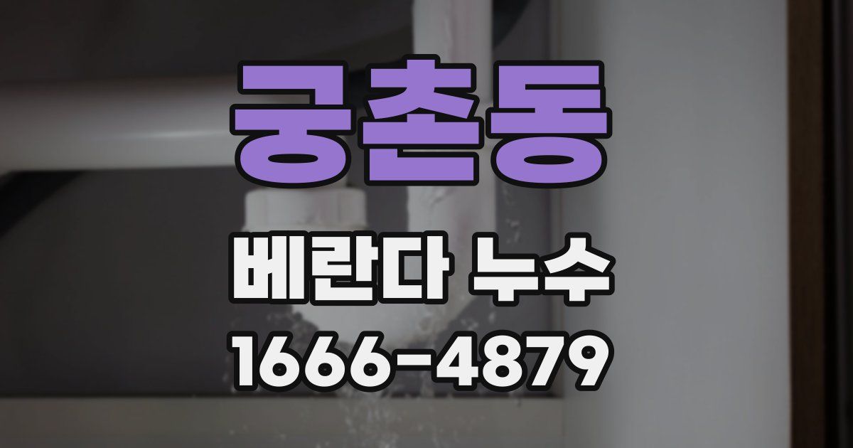궁촌동 베란다 누수