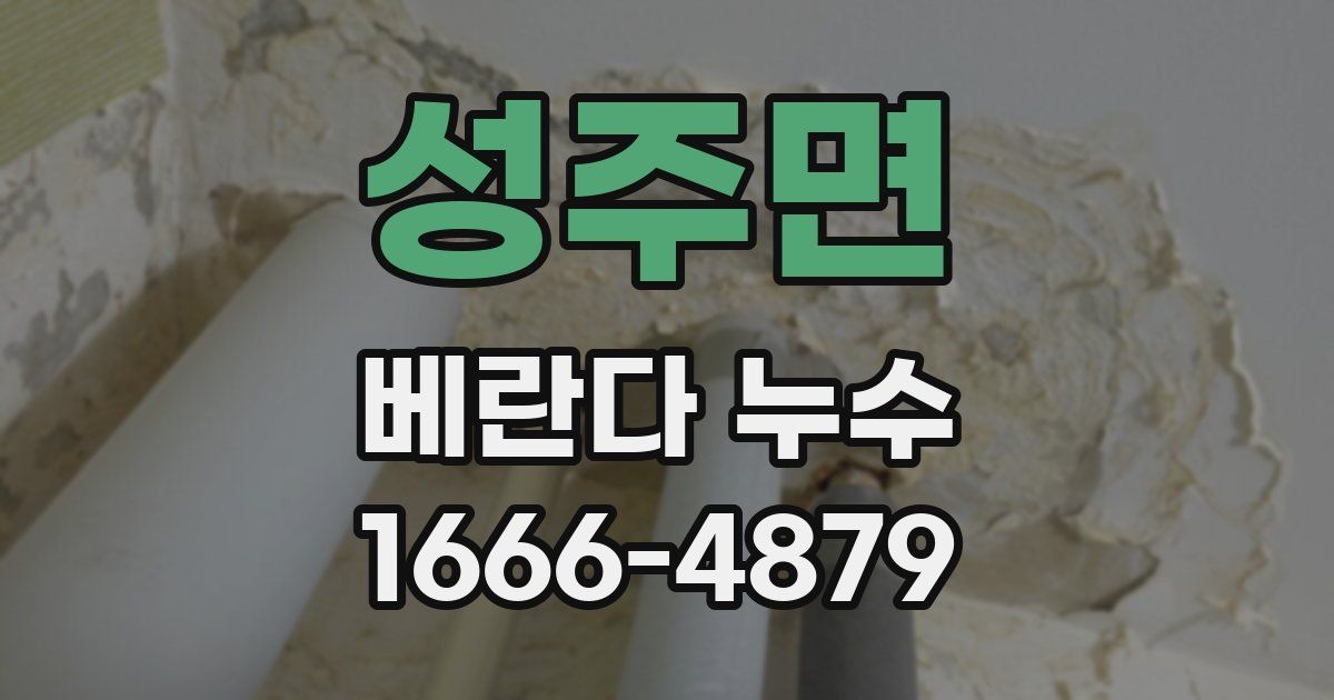 성주면 베란다 누수